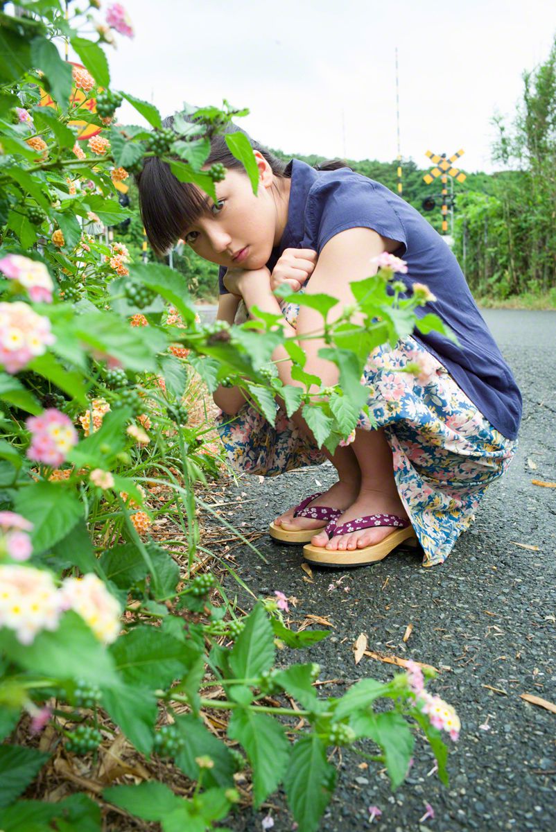 雨间风见（前尘）